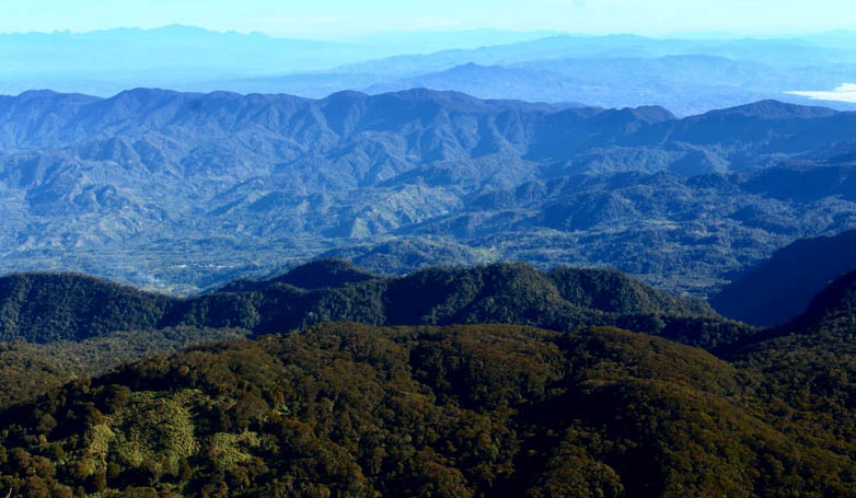 Mount Apo Rainforest