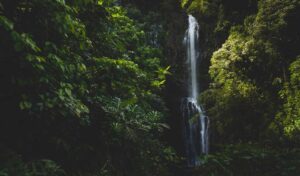 Waterfalls in Laguna