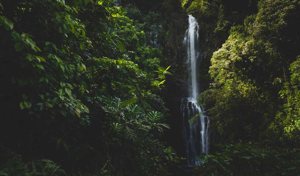 8 Must-Visit Waterfalls in Laguna for Nature Lovers