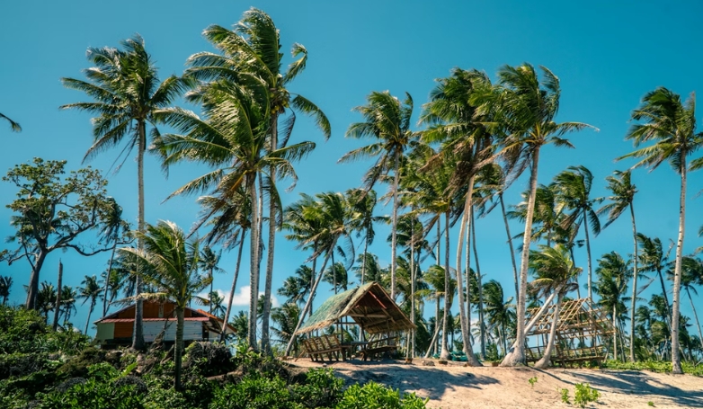A scenic view of Union Beach in Siargao, featuring palm trees and huts under a clear blue sky.